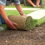 Revitalize Your Lawn with Professional Sod Installation from Sod Works for 2024
