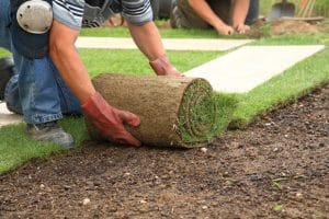Read more about the article Revitalize Your Lawn with Professional Sod Installation from Sod Works for 2024